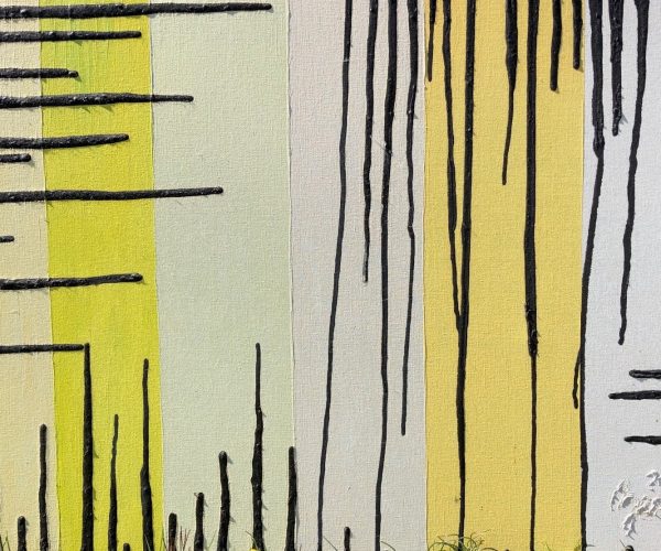 Bernini canceled gravitiy